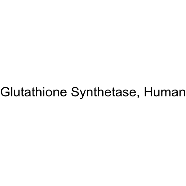 Glutathione Synthetase, Human