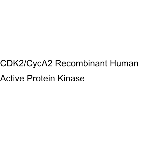 ALK C1156Y Recombinant Human Active Protein Kinase