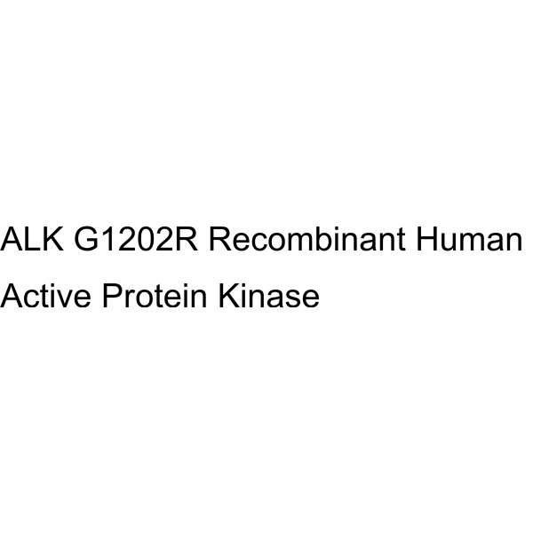 ALK G1202R Recombinant Human Active Protein Kinase