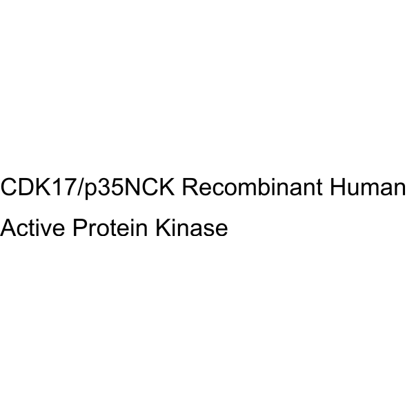 CDK17/p35NCK Recombinant Human Active Protein Kinase