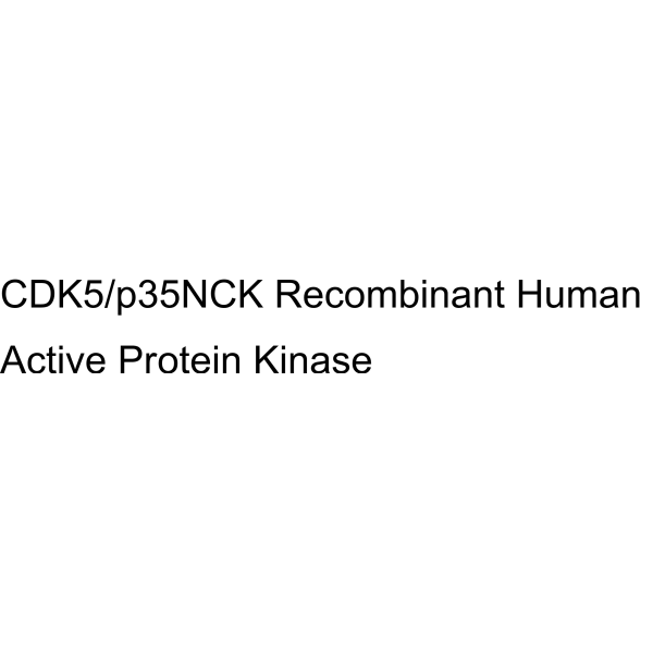 CDK5/p35NCK Recombinant Human Active Protein Kinase
