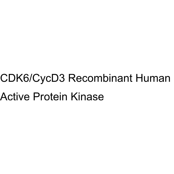 CDK6/CycD3 Recombinant Human Active Protein Kinase