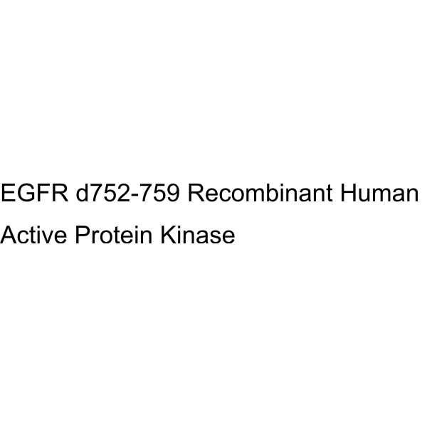 EGFR d752-759 Recombinant Human Active Protein Kinase