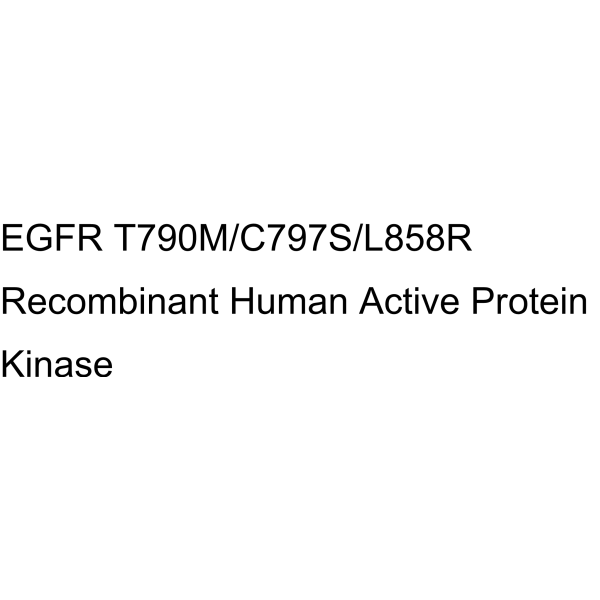 EGFR T790M/C797S/L858R Recombinant Human Active Protein Kinase