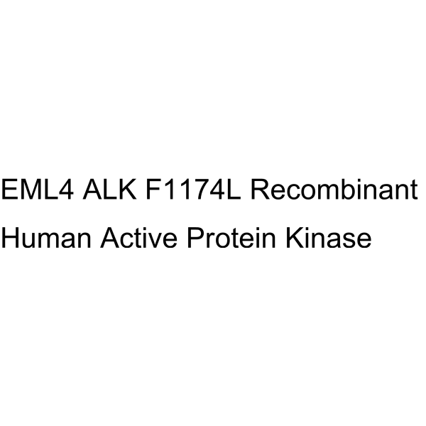 EML4 ALK F1174L Recombinant Human Active Protein Kinase