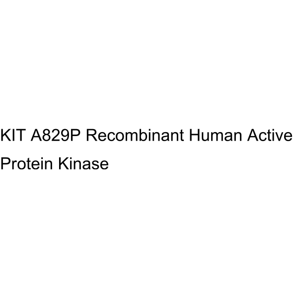KIT A829P Recombinant Human Active Protein Kinase