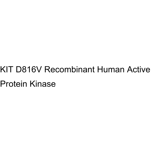KIT D816V Recombinant Human Active Protein Kinase