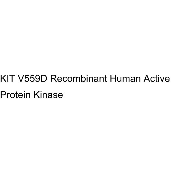 KIT V559D Recombinant Human Active Protein Kinase