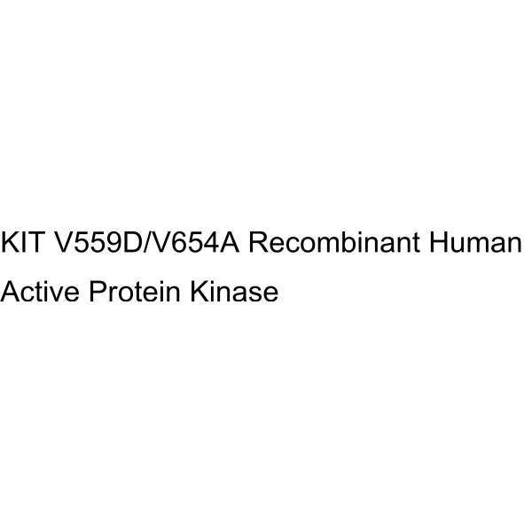 KIT V559D/V654A Recombinant Human Active Protein Kinase