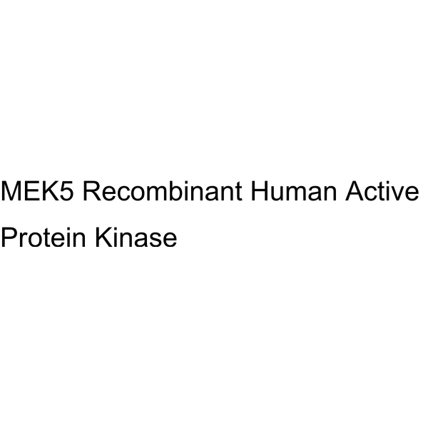 MEK5 Recombinant Human Active Protein Kinase
