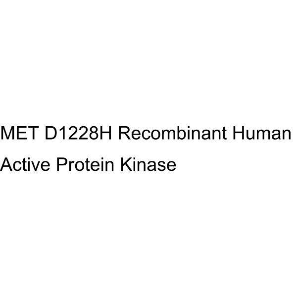 MET D1228H Recombinant Human Active Protein Kinase