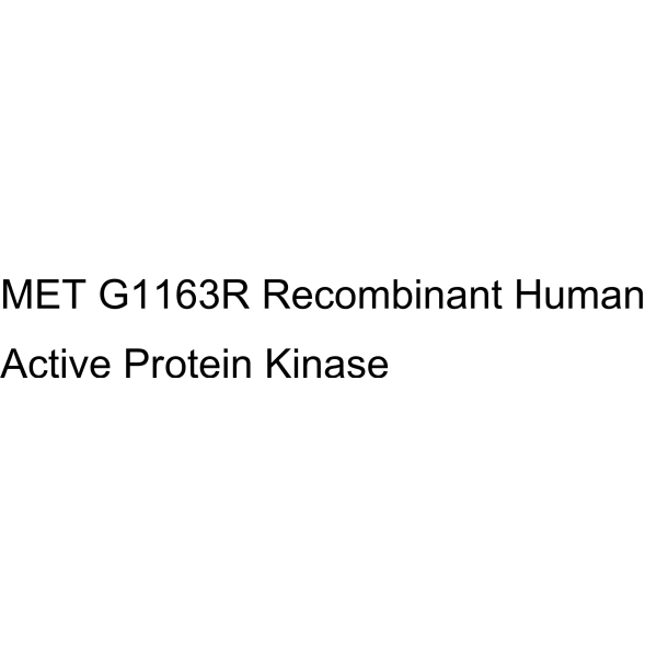 MET G1163R Recombinant Human Active Protein Kinase