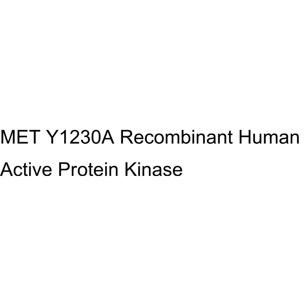 MET Y1230A Recombinant Human Active Protein Kinase