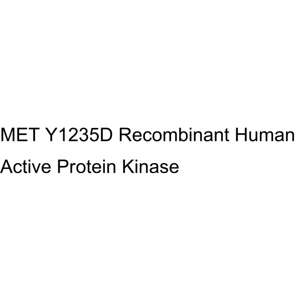 MET Y1235D Recombinant Human Active Protein Kinase