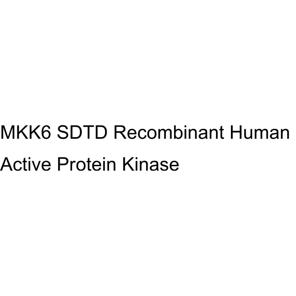 MKK6 SDTD Recombinant Human Active Protein Kinase
