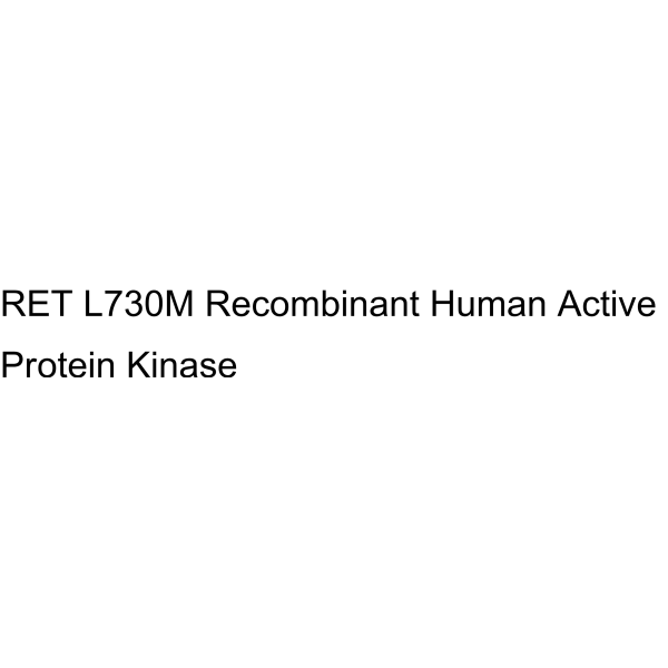 RET L730M Recombinant Human Active Protein Kinase