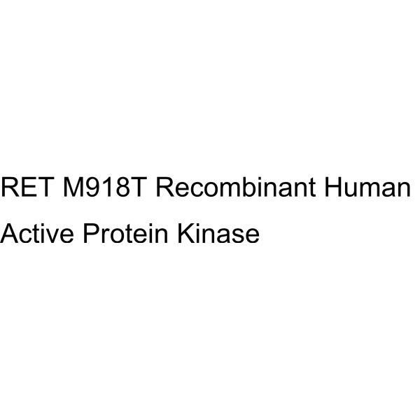 RET M918T Recombinant Human Active Protein Kinase