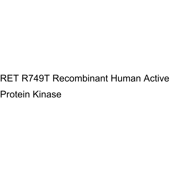 RET R749T Recombinant Human Active Protein Kinase