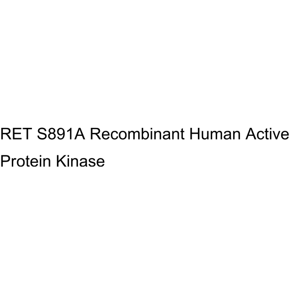 RET S891A Recombinant Human Active Protein Kinase