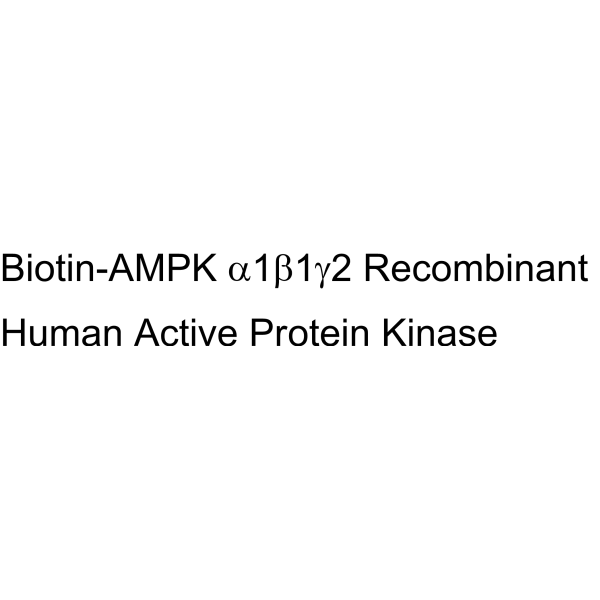 Biotin-AMPKα1β1γ2 Recombinant Human Active Protein Kinase