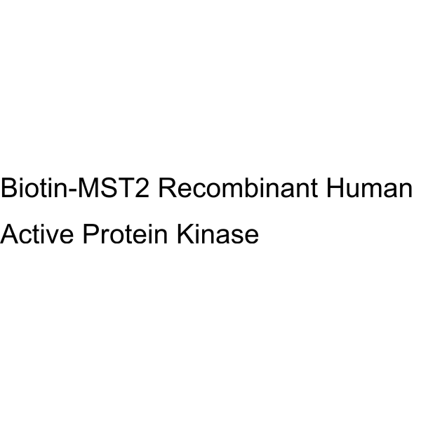 Biotin-MST2 Recombinant Human Active Protein Kinase