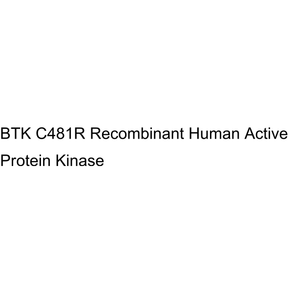 BTK C481R Recombinant Human Active Protein Kinase