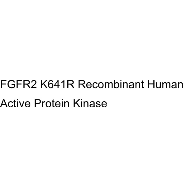 FGFR2 K641R Recombinant Human Active Protein Kinase