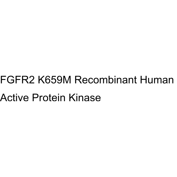 FGFR2 K659M Recombinant Human Active Protein Kinase