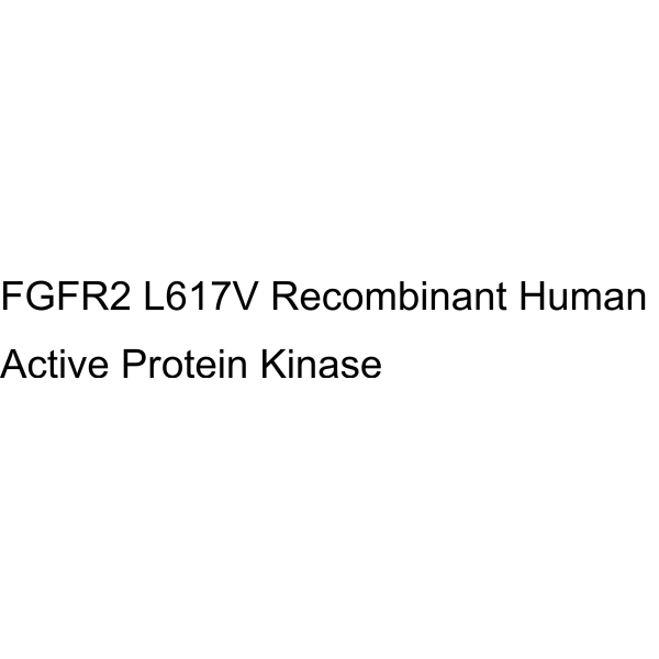 FGFR2 L617V Recombinant Human Active Protein Kinase