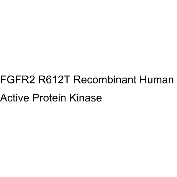 FGFR2 R612T Recombinant Human Active Protein Kinase