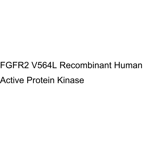 FGFR2 V564L Recombinant Human Active Protein Kinase