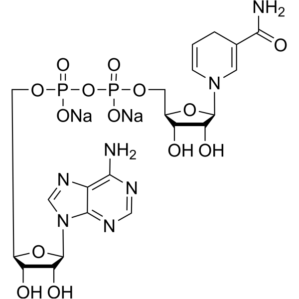 NADH disodium salt (Standard)