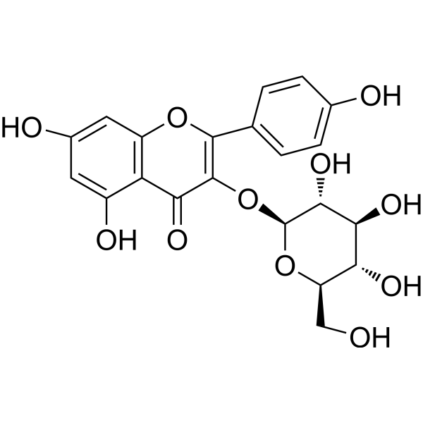 Astragalin
