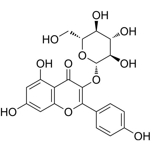 Astragalin (Standard)