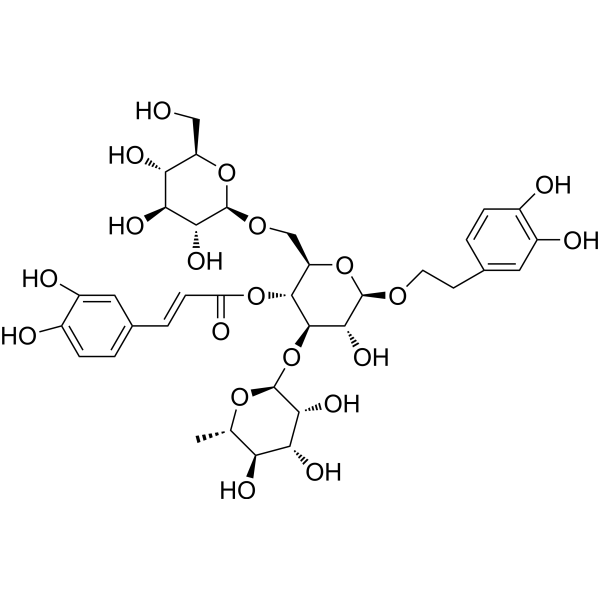 Echinacoside (Standard)