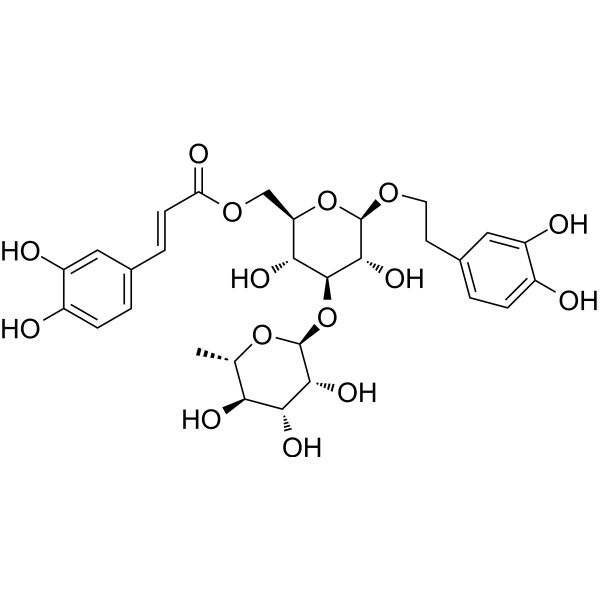 Isoacteoside