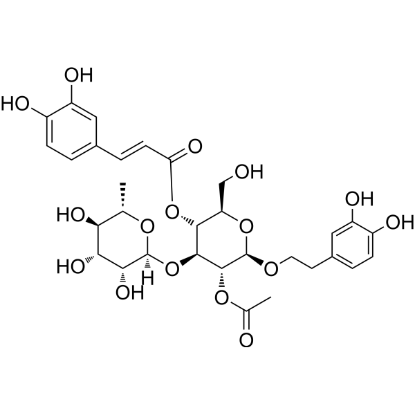 2'-Acetylacteoside (Standard)