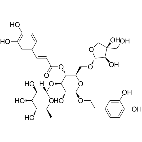 Forsythoside B (Standard)