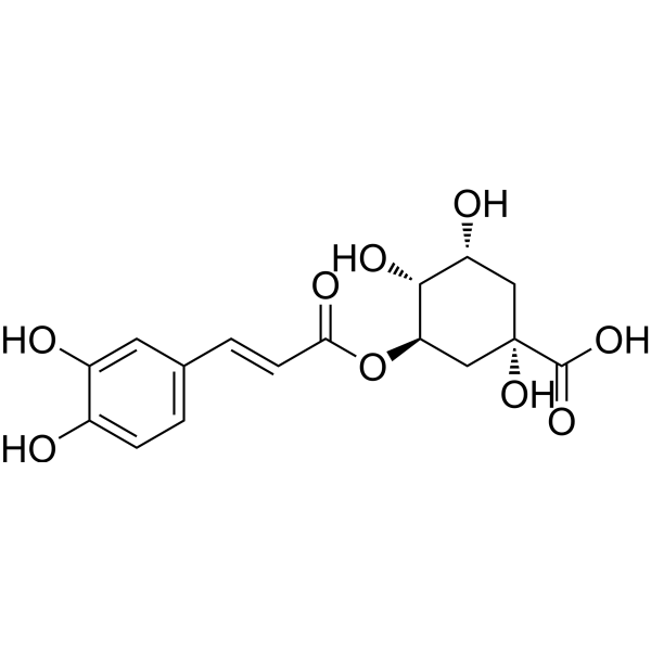 Chlorogenic acid (Standard)