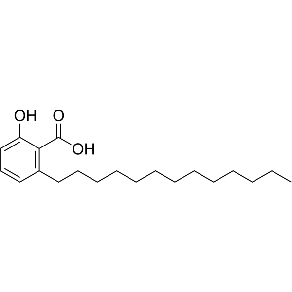 Ginkgolic Acid (C13:0) (Standard)