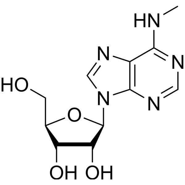 N6-Methyladenosine (Standard)