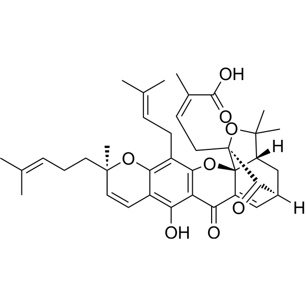 Gambogic Acid (Standard)