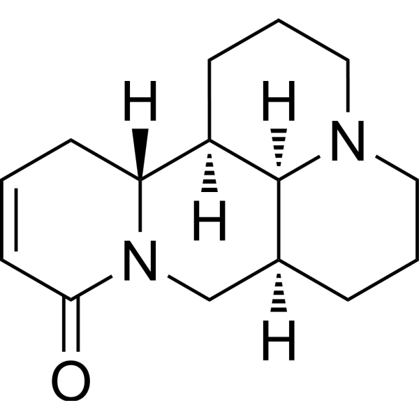 Sophocarpine (Standard)