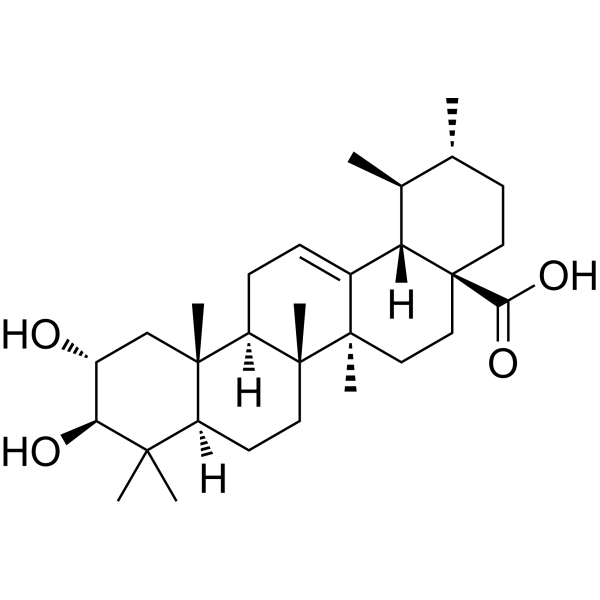 Corosolic acid (Standard)