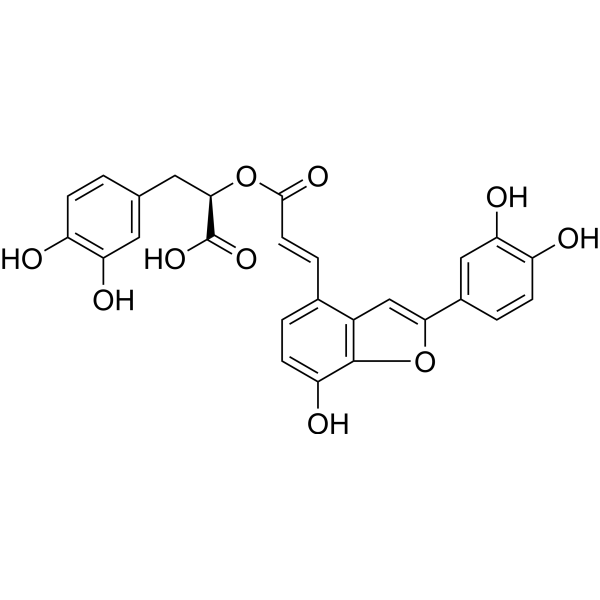 Salvianolic acid C (Standard)