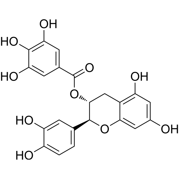 (-)-Catechin gallate (Standard)