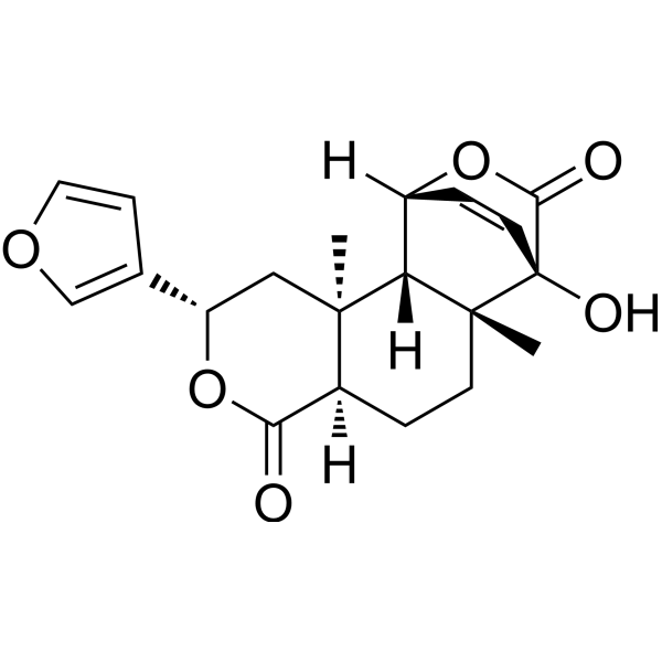Columbin (Standard)