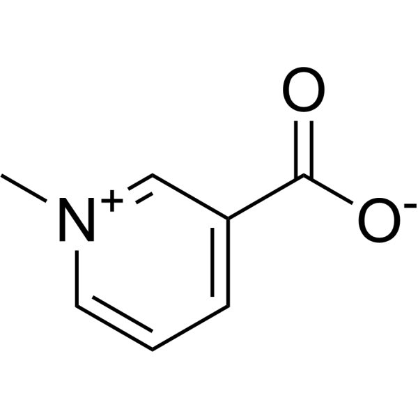 Trigonelline (Standard)