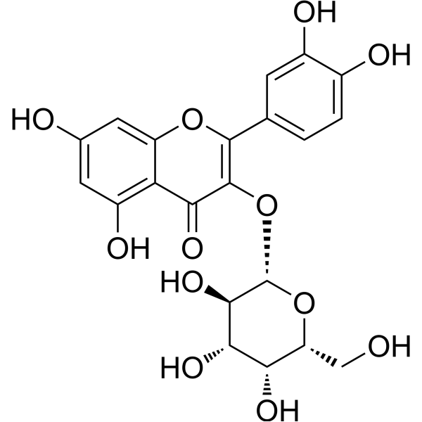 Hyperoside (Standard)