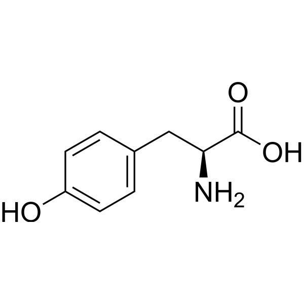 L-Tyrosine